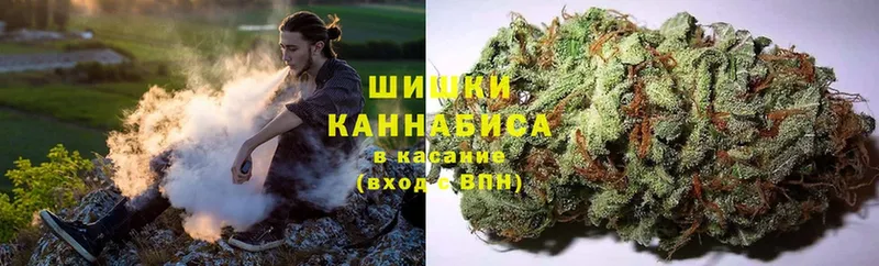 Марихуана Bruce Banner  закладка  Симферополь 